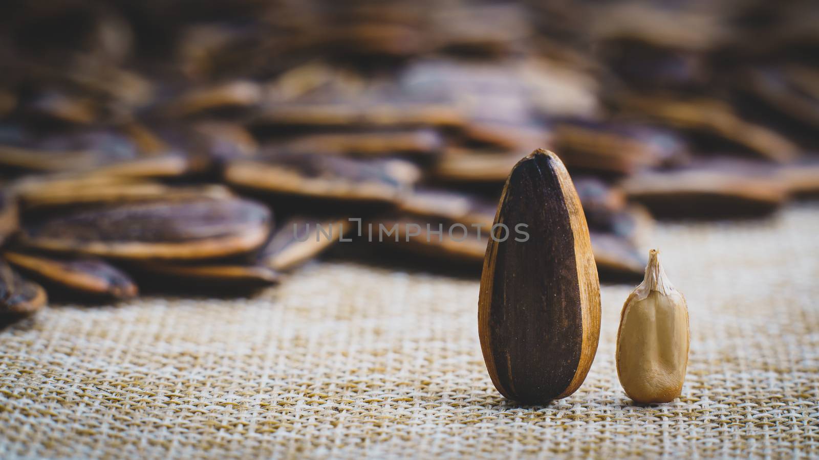 Sunflower seed stands on a sack background. by sirawit99