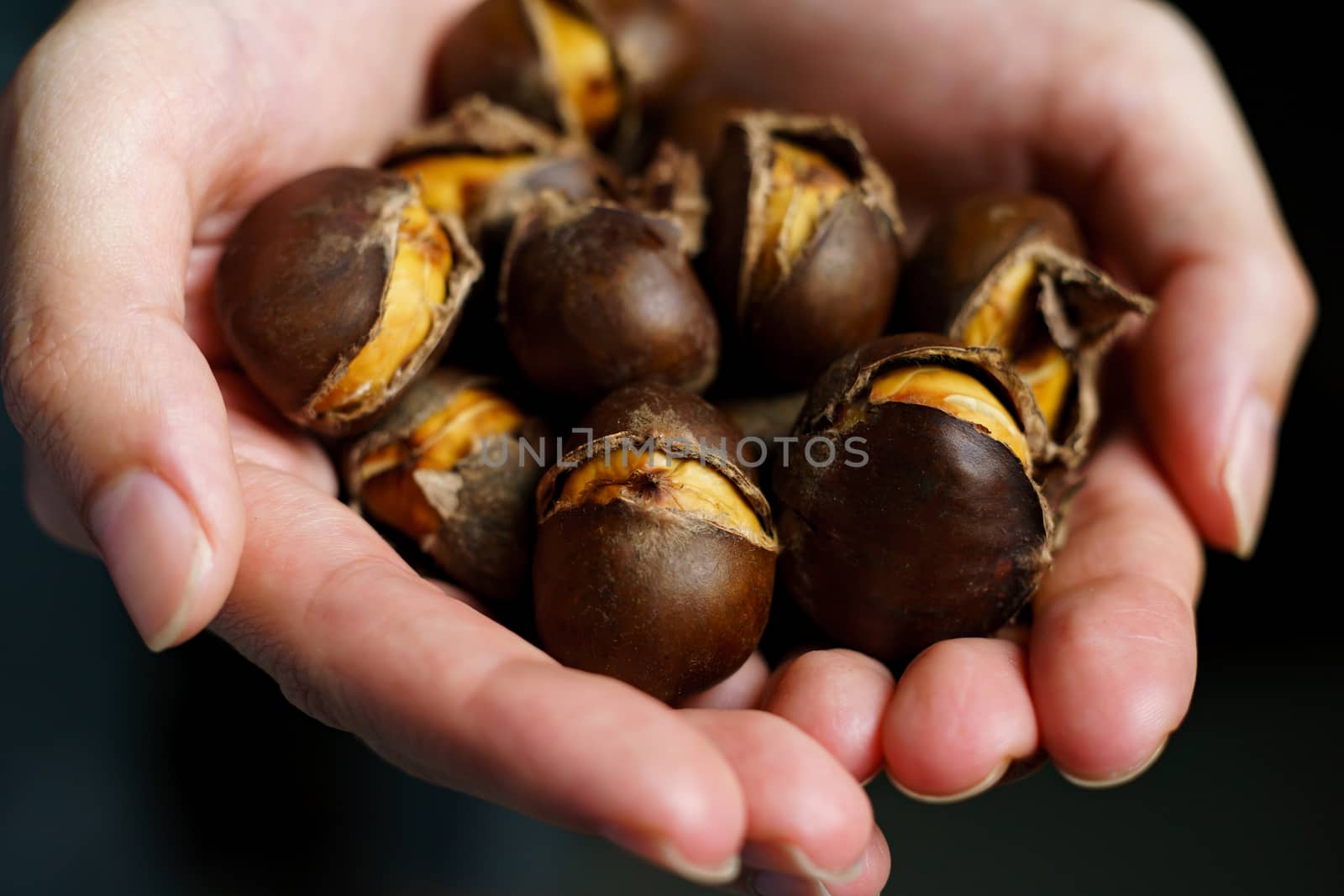 Woman holding grilled chestnuts in her hands. by sirawit99