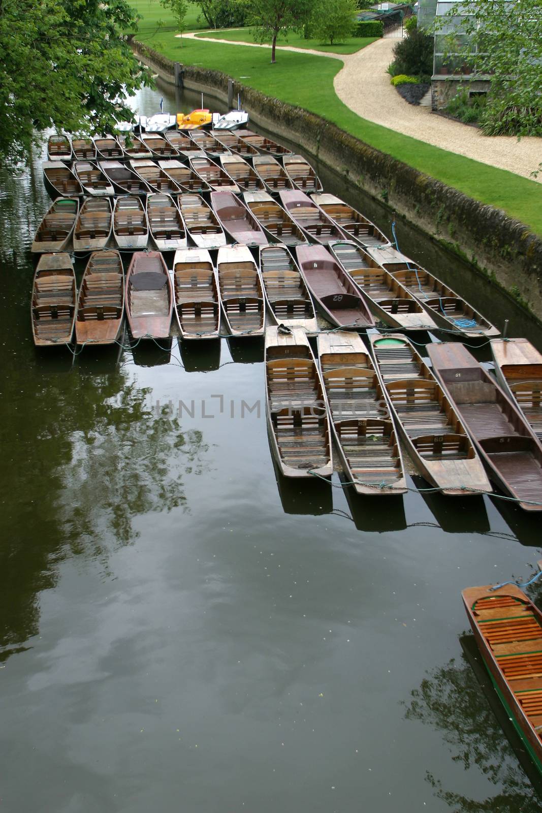 Punts tied up at Magdalen Bridge Oxford arranged in neat pattern with gardens by kgboxford