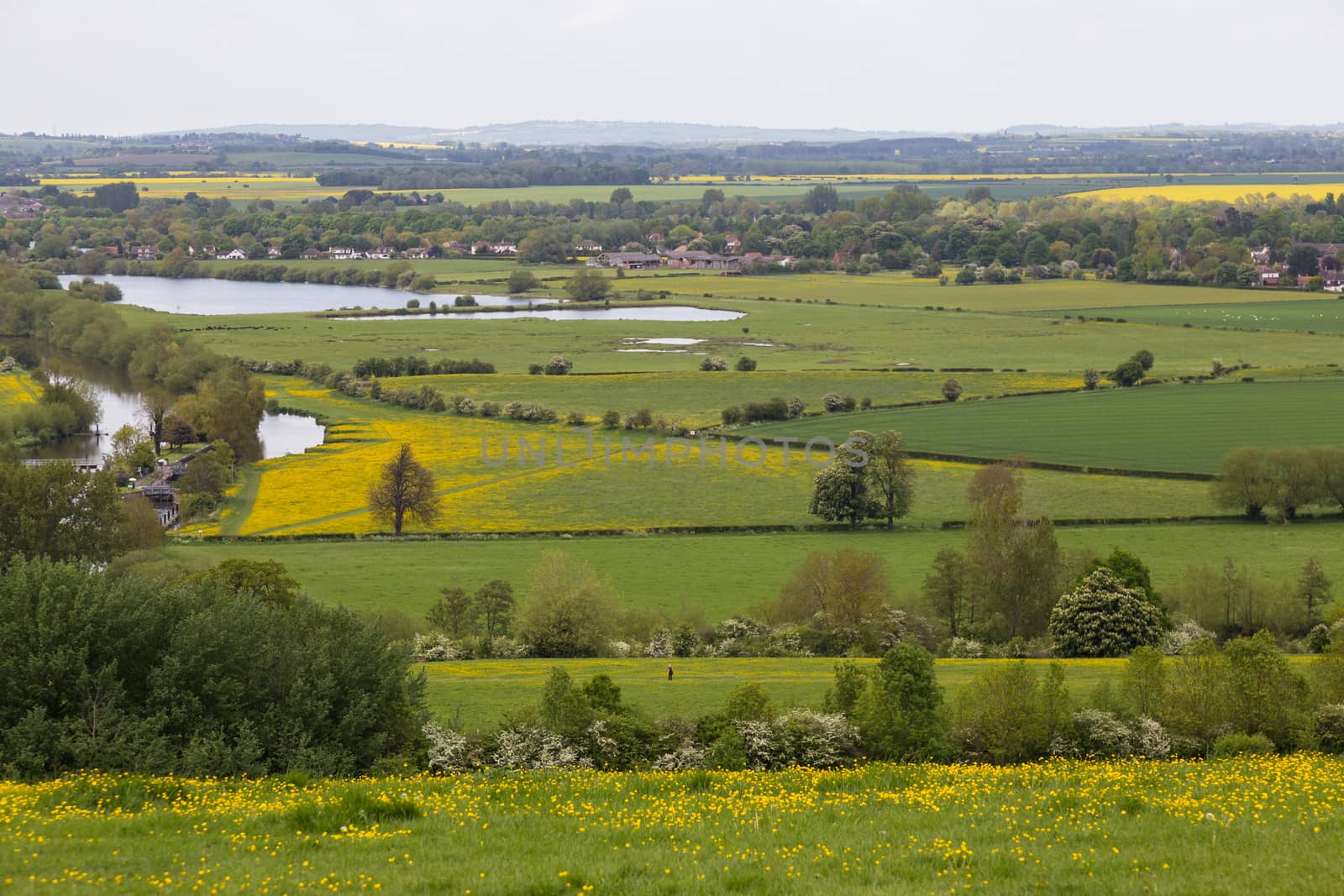 South Oxfordshire countryside with River Thames looking from Wittenham Clumps by kgboxford