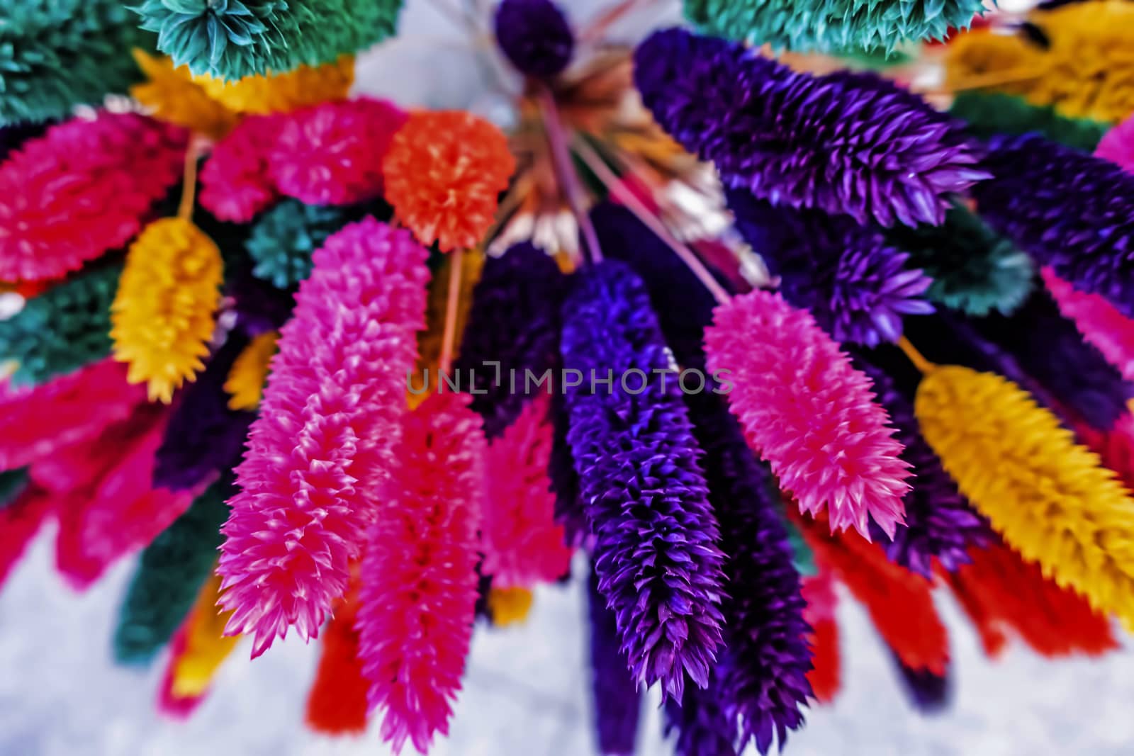 close up colorful dried flowers by yilmazsavaskandag