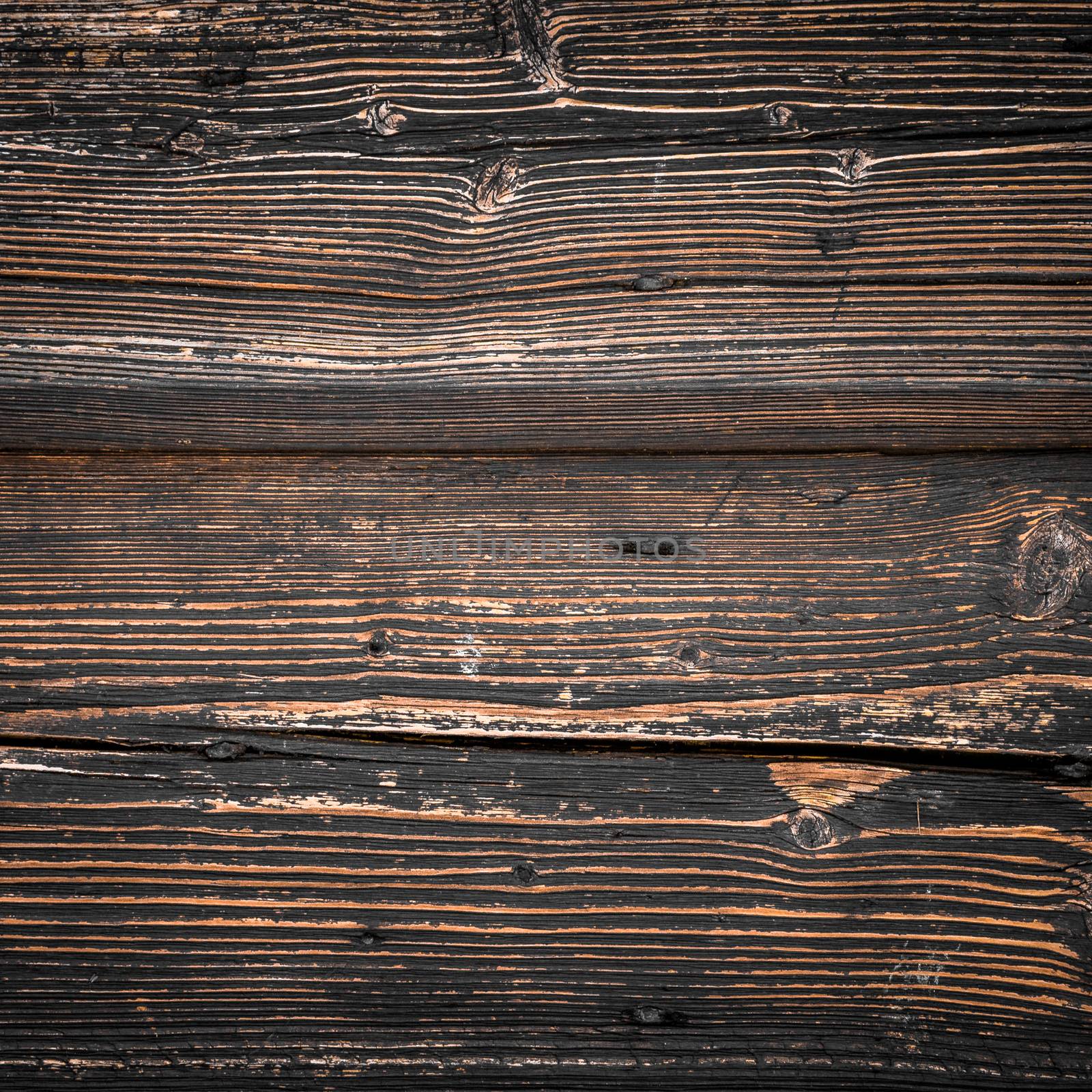 Wood background by germanopoli