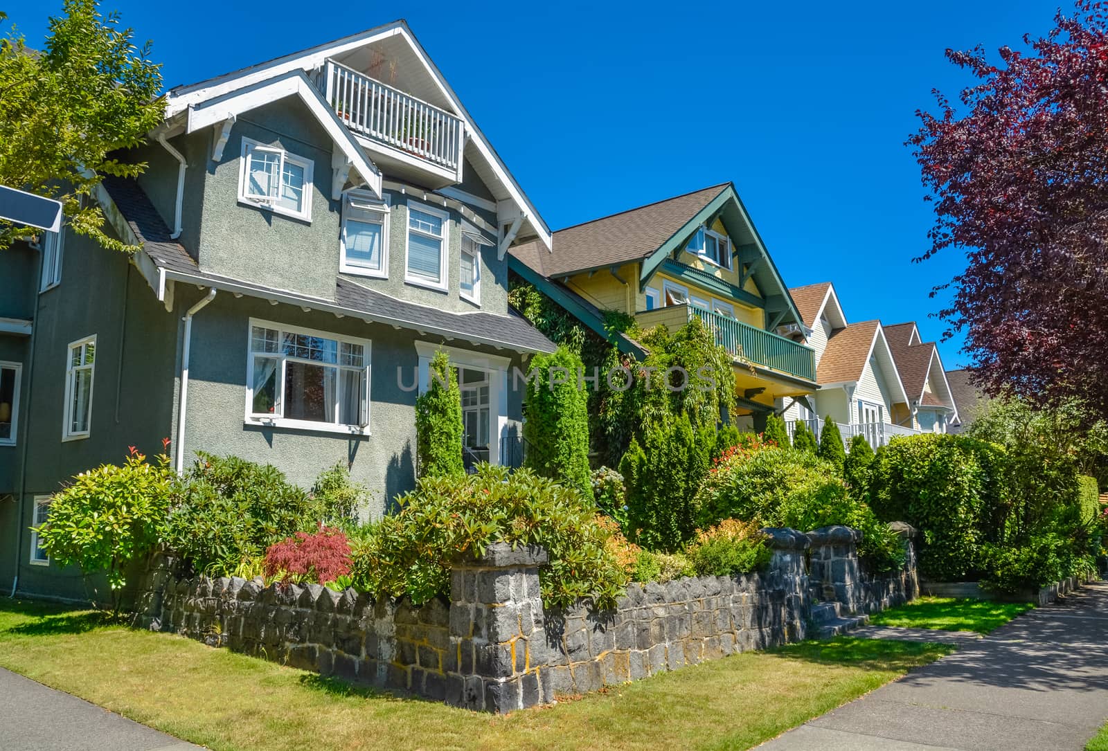 A row of residential houses along the street with landscaped front yards. Family houses on sunny day in British Columbia
