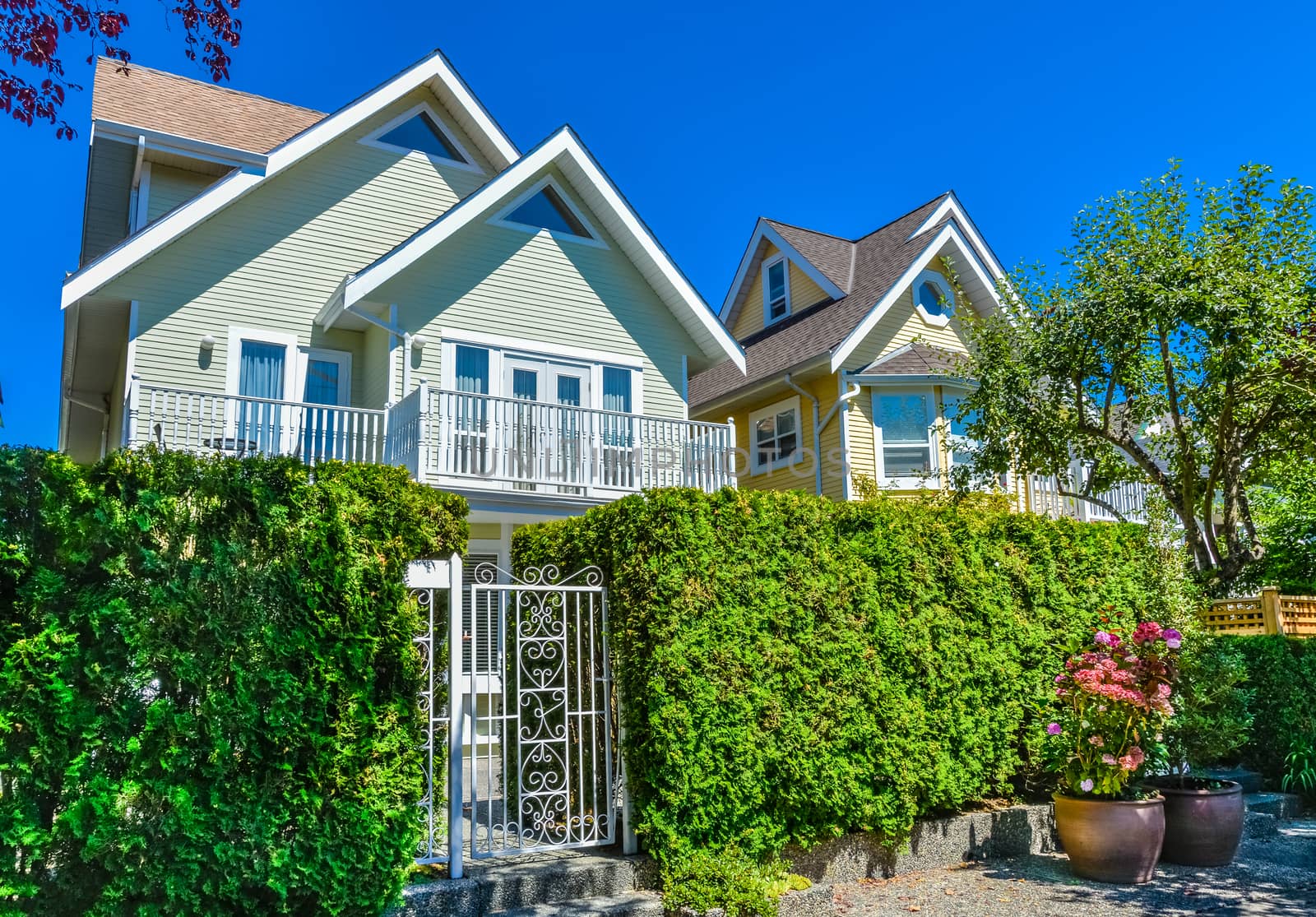 Residential house with entrance gate and green hedge in front