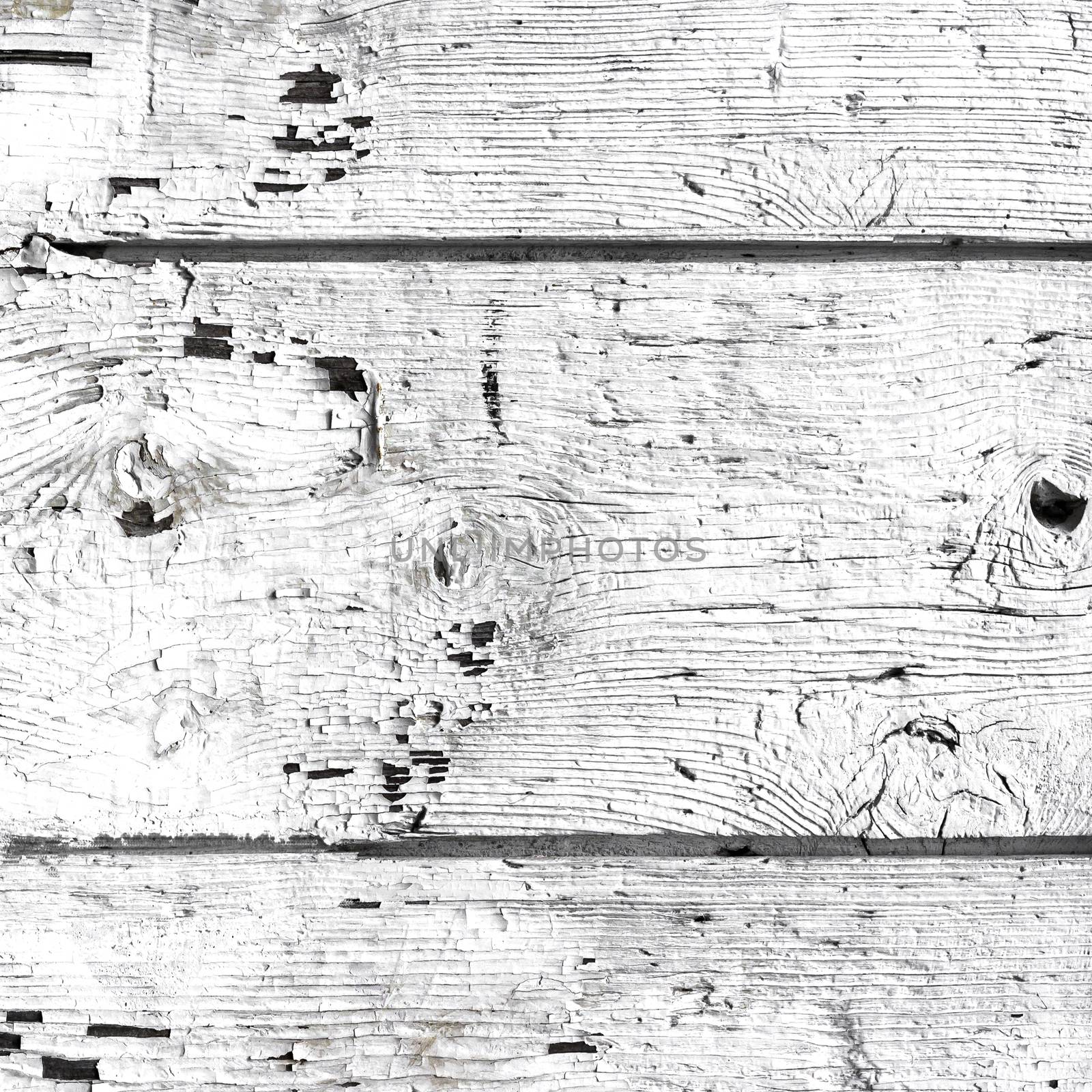 Wooden wall with white paint is severely weathered and peeling