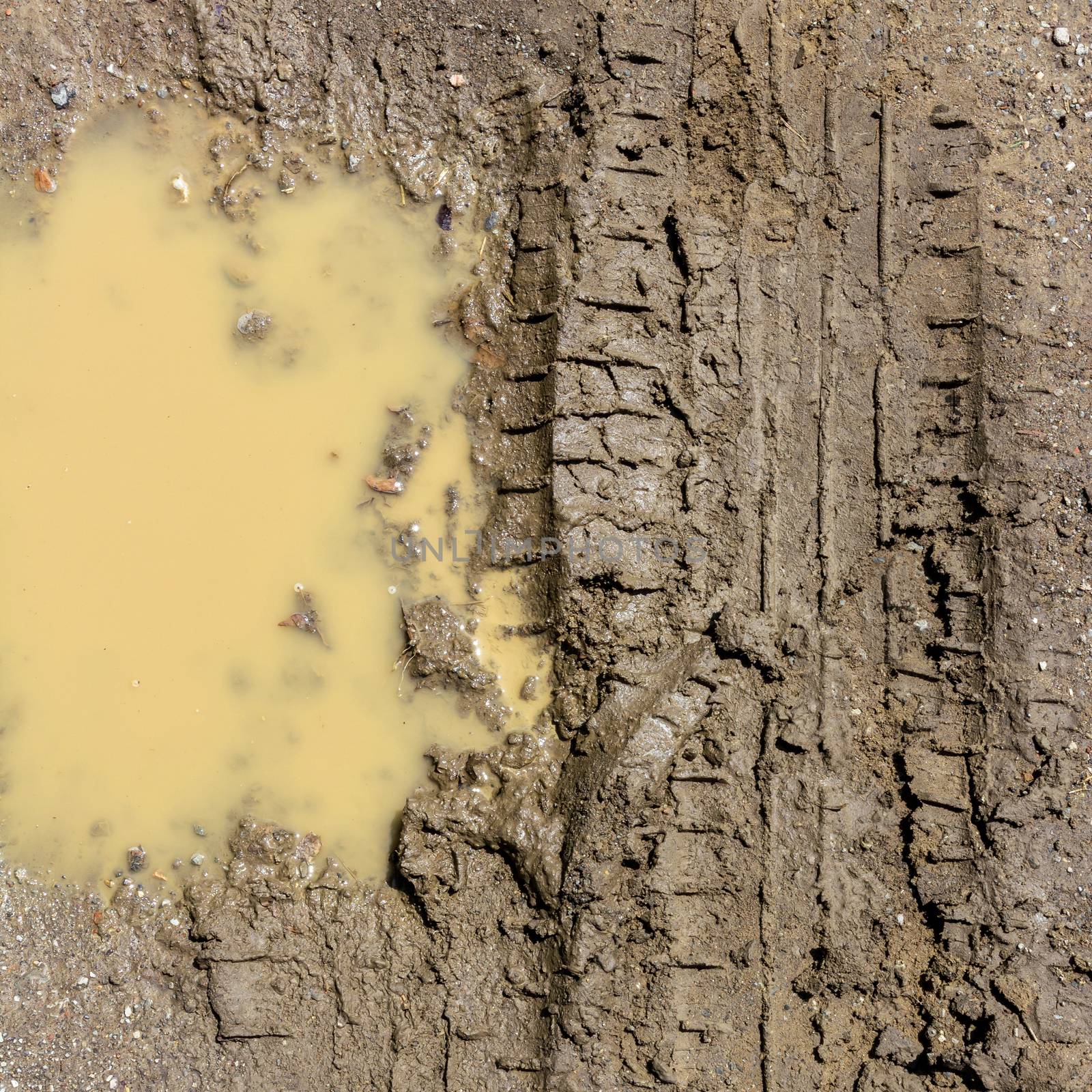 Muddy puddle in the spring by germanopoli