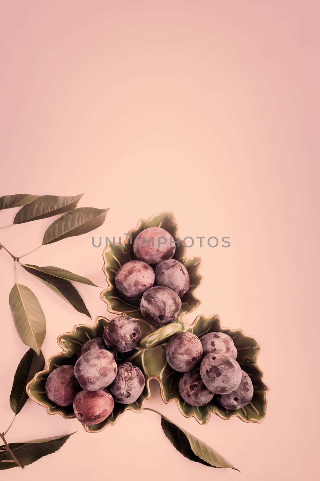 In a ceramic dish are large ripe plums. Presented in close-up on a pink background. The view from the top, flat position, space for copy