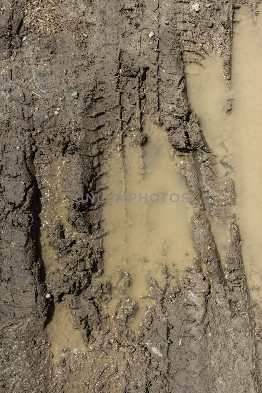 Texture of mud. Wet dirt. Puddle.