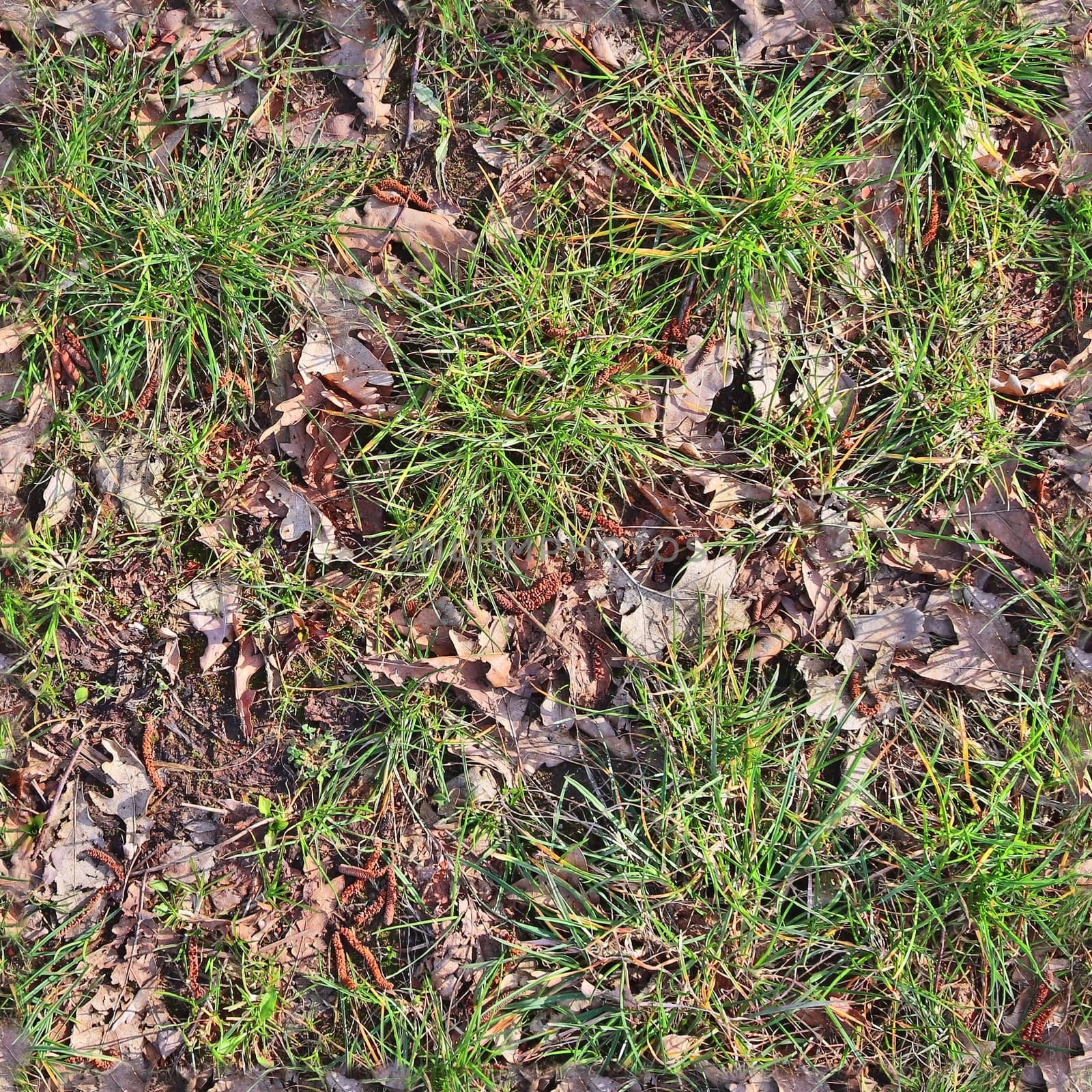 Photo realistic seamless grass texture in high resolution with more than 6 megapixel