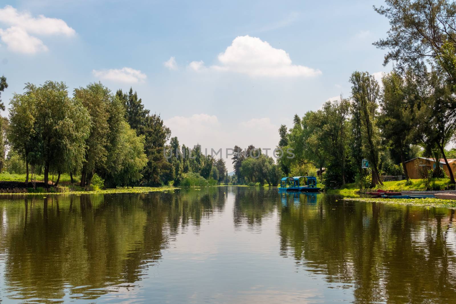 Landscape of the Cuemanco canal in Xochimilco, Mexico City. Calm river. The river flows in spring through the forest. by leo_de_la_garza