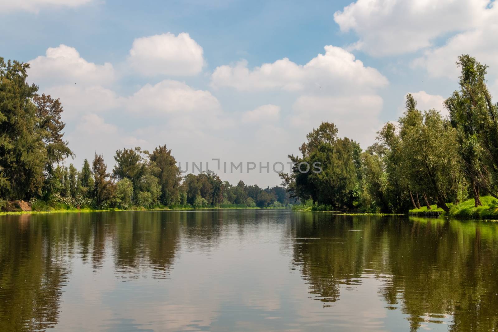 Landscape of the Cuemanco canal in Xochimilco, Mexico City. Calm river. Trajineras. Xochimilco. CDMX. The river flows in spring through the woods