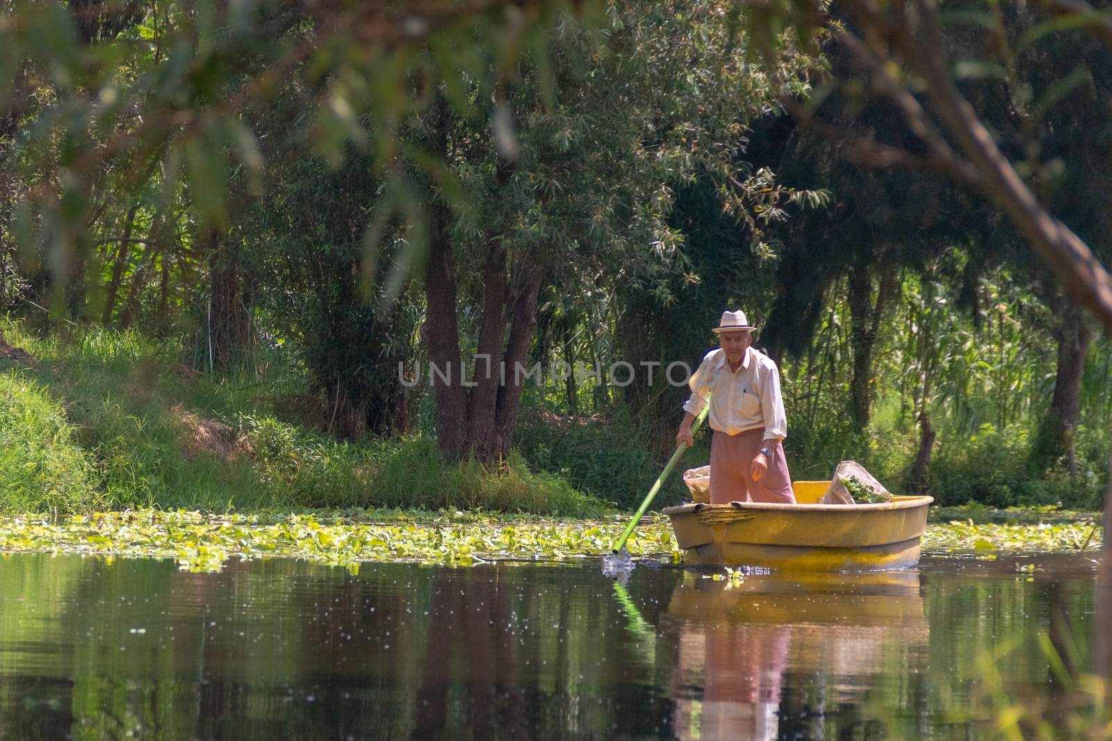 Landscape of the Cuemanco canal in Xochimilco, Mexico City. Calm river. The river flows in spring through the forest. by leo_de_la_garza