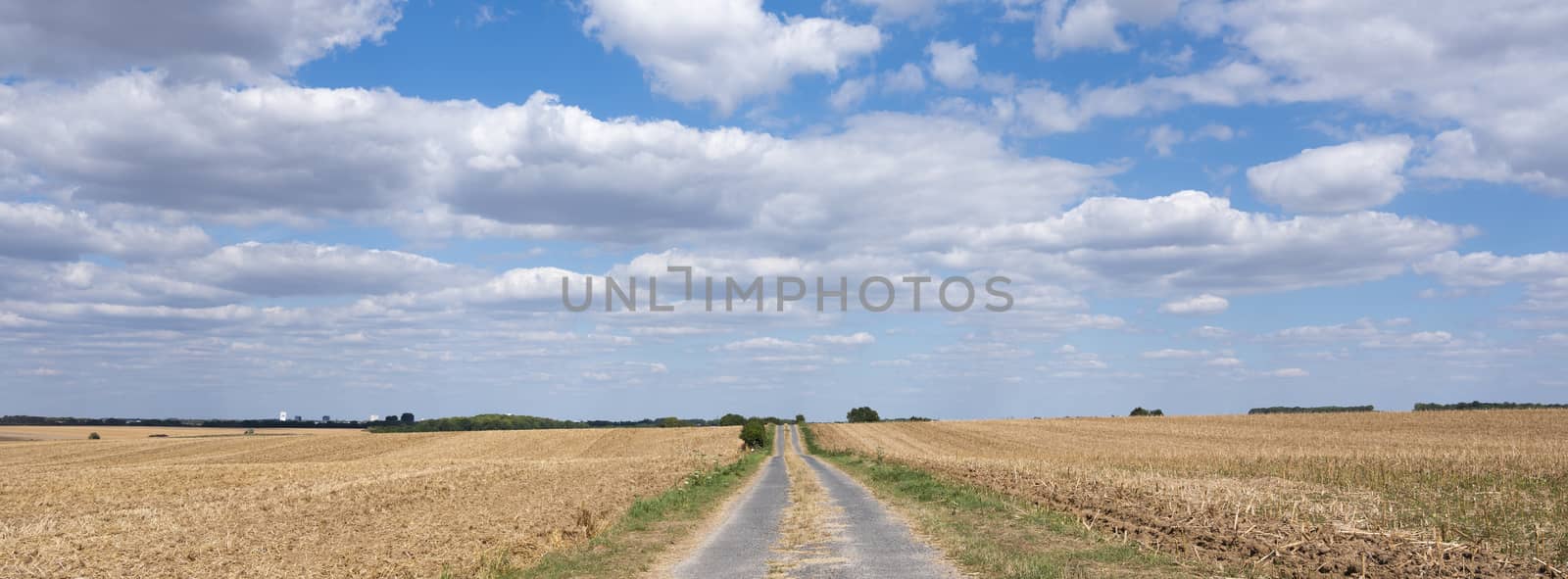 corn fields and country road in the north of france near Amiens
