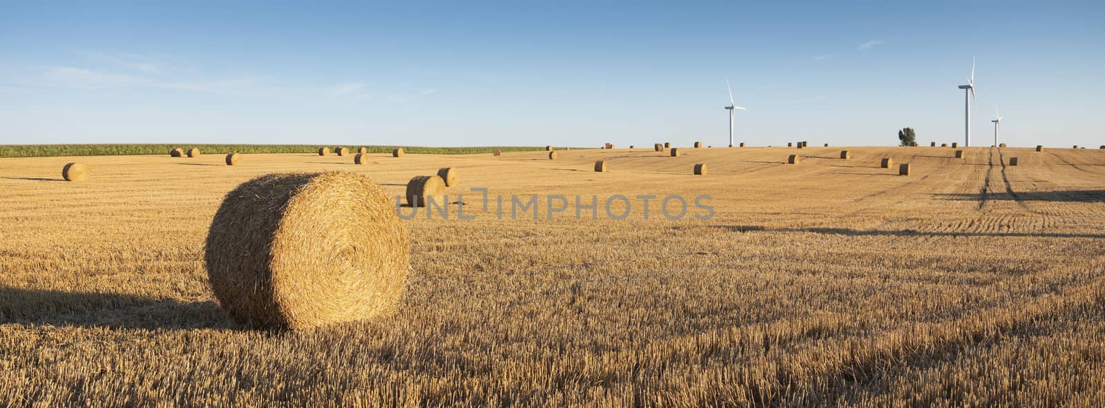 fields after harvest in the north of france with wind turbines in the background by ahavelaar