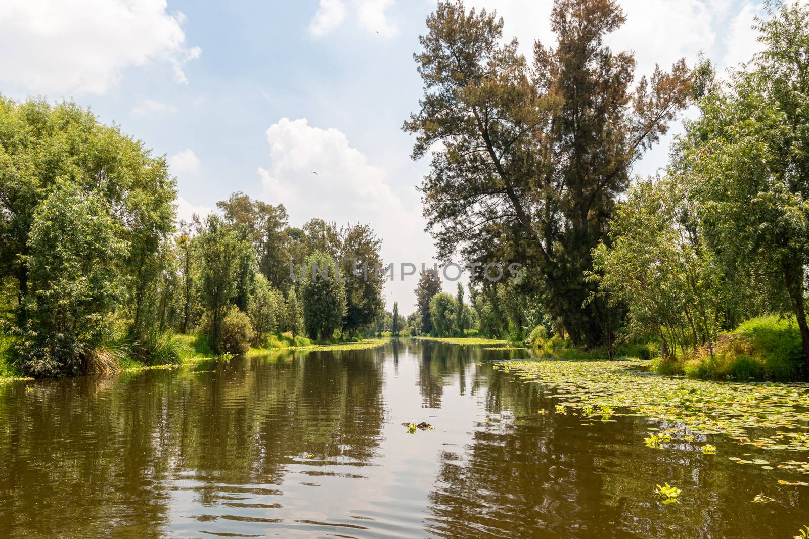 Landscape of the Cuemanco canal in Xochimilco, Mexico City. Calm river. Trajineras. Xochimilco. CDMX. The river flows in spring through the woods