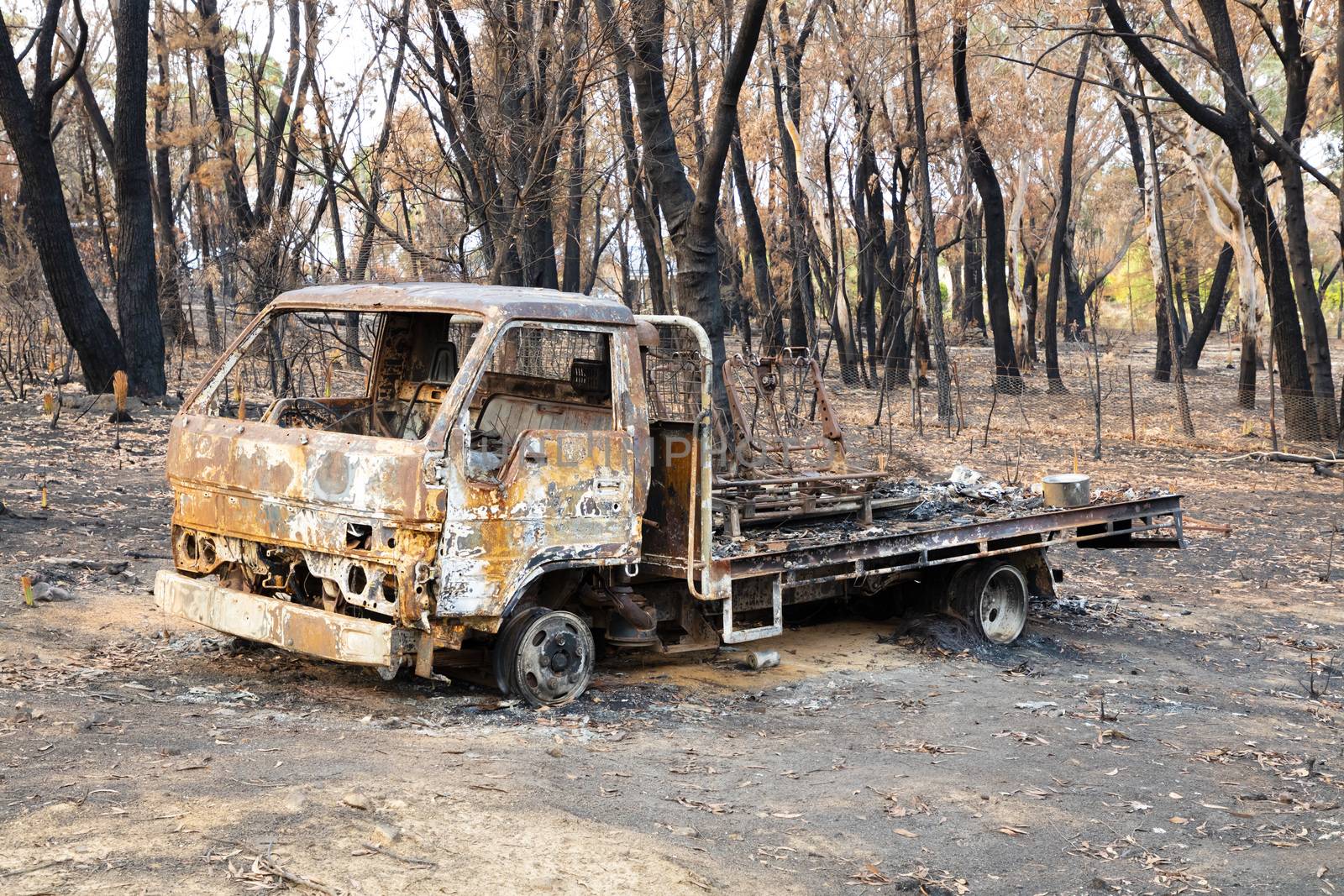 A destroyed truck amongst burnt gum trees after a severe bushfire in The Blue Mountains in Australia by WittkePhotos