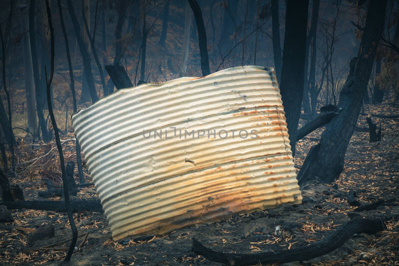 A water tank and gum trees burnt by severe bushfire in The Blue Mountains in Australia by WittkePhotos