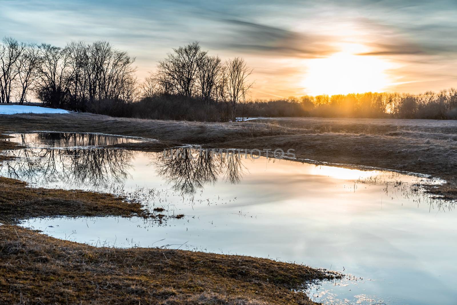 Flooded trees and frozen water in the floodplain of the river at the thaws. by sveter