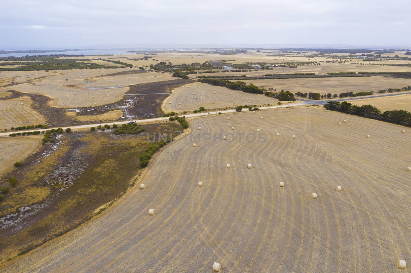 Aerial view of rolled hay bales in an agricultural field in regional Australia