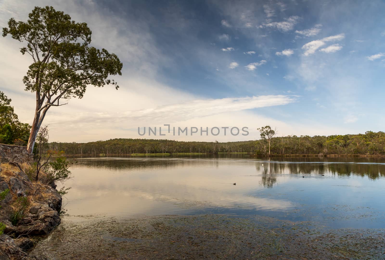 A large fresh water reservoir surrounded by bushland in regional Australia