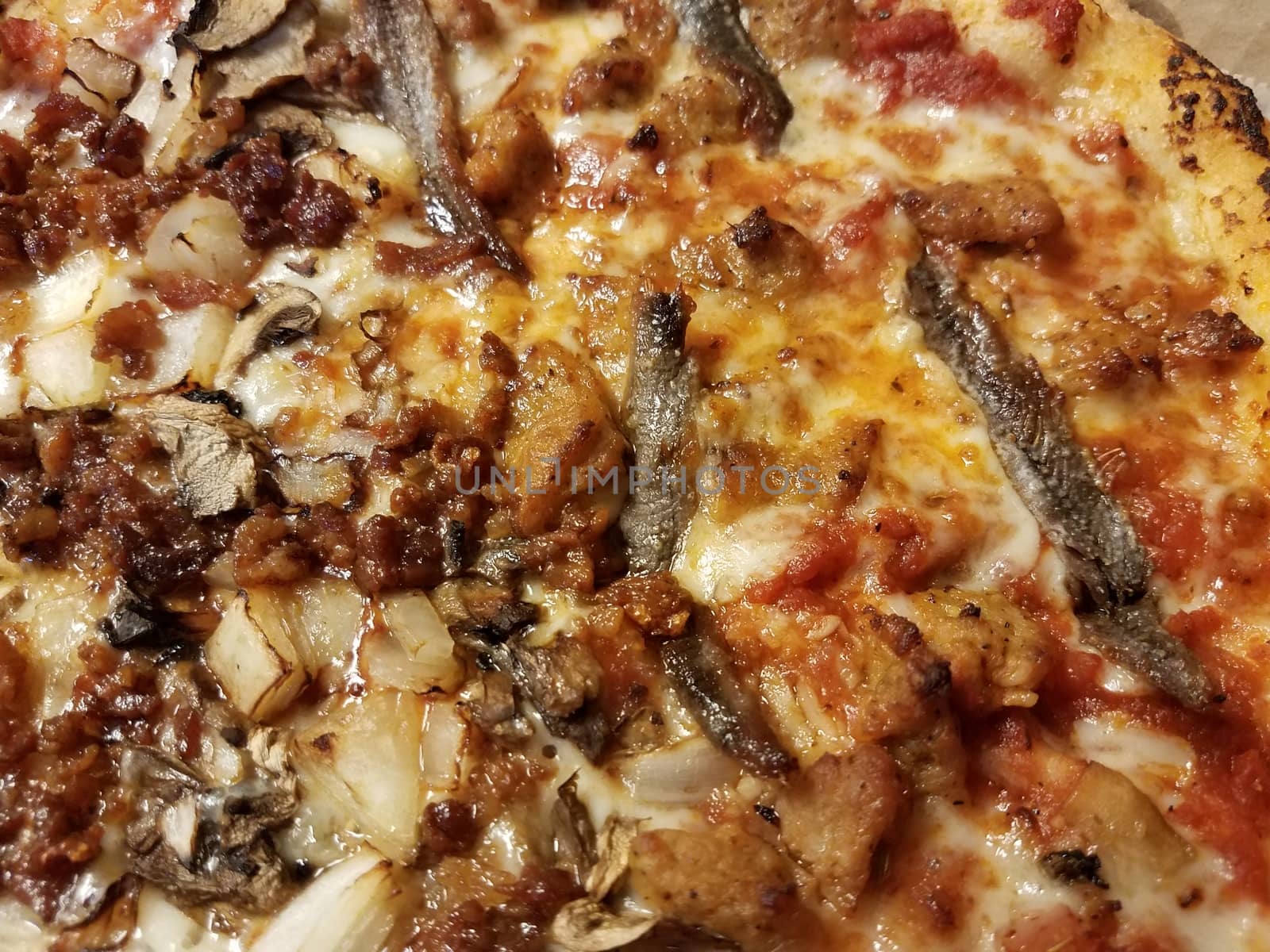 pizza with bacon and onion and anchovie fish and cheese