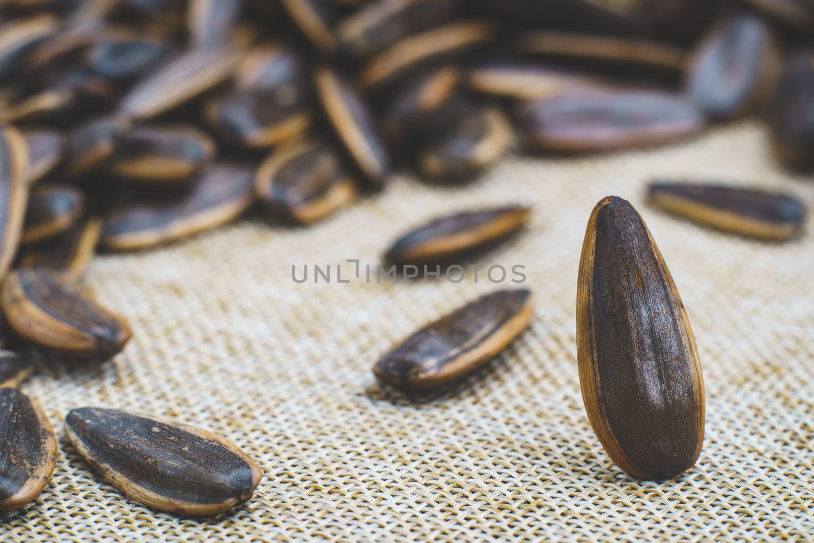 Sunflower seed stands on a sack background. by sirawit99