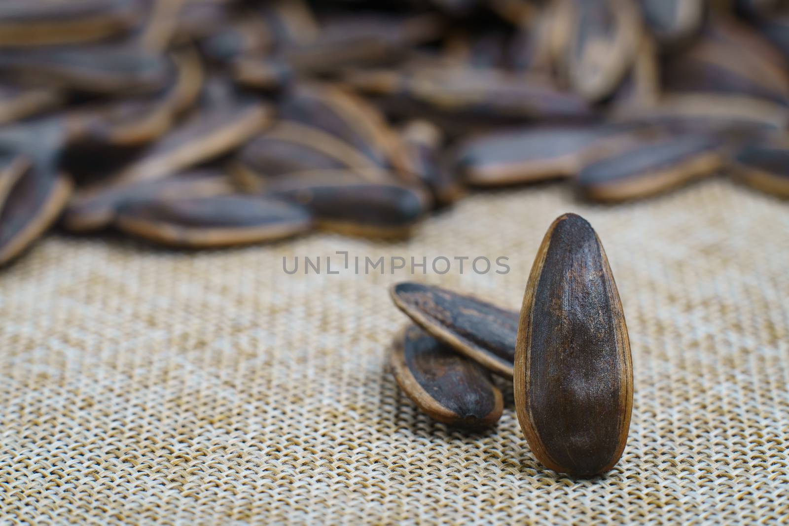 Sunflower seed stands on a sack background. by sirawit99