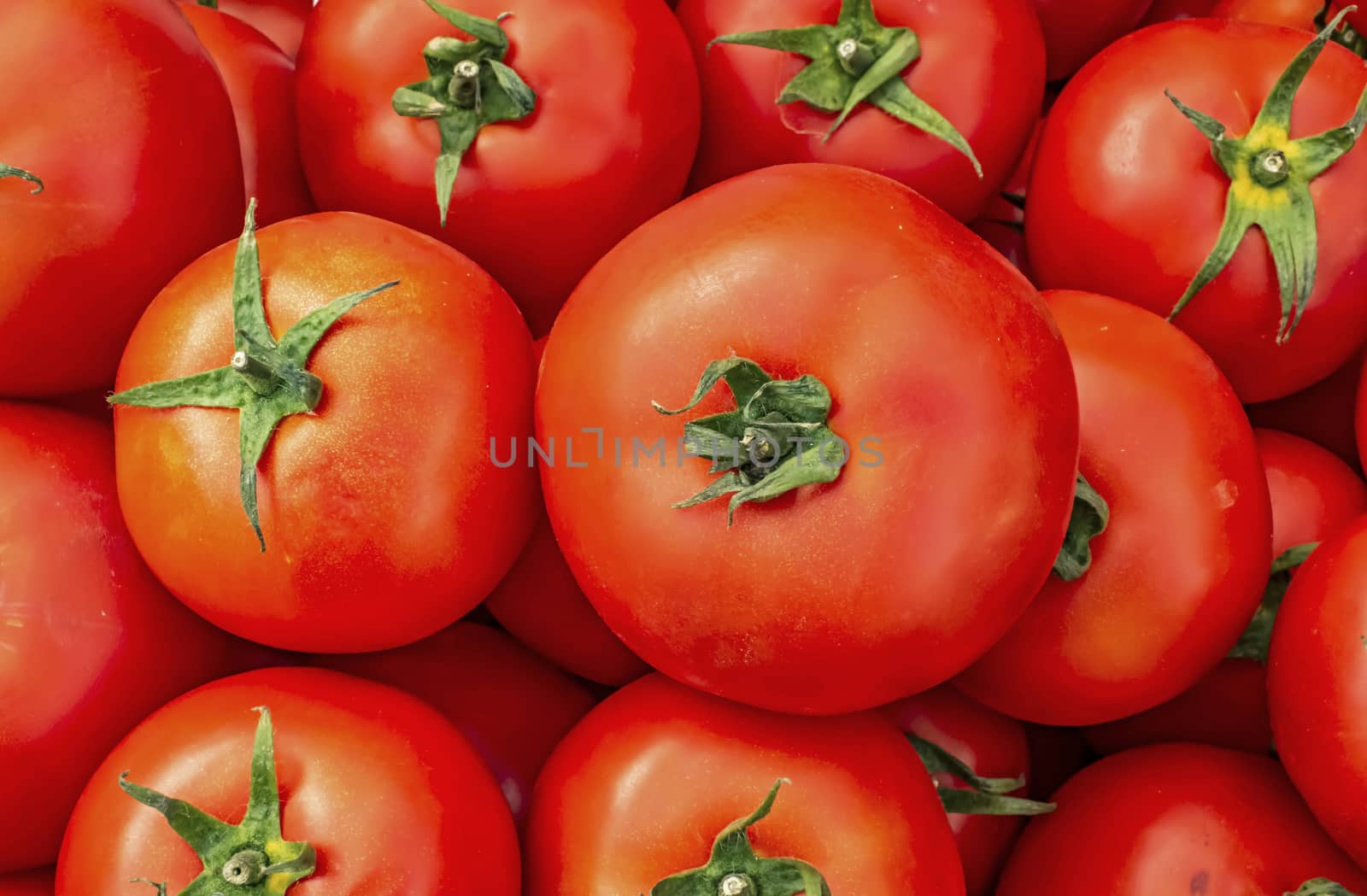 close up tomatoes on the market