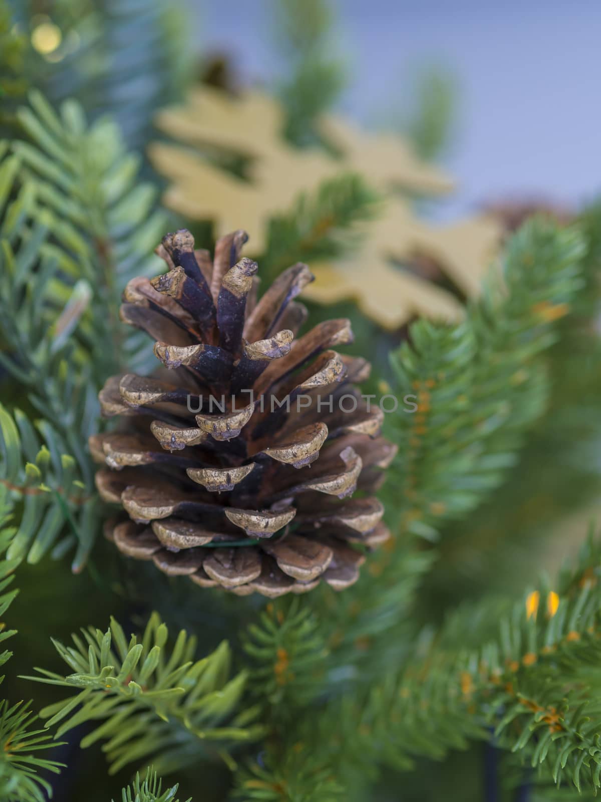 close up pine tree pine cone and golden christmas snowflake on artificial christmas tree with blue bokeh background