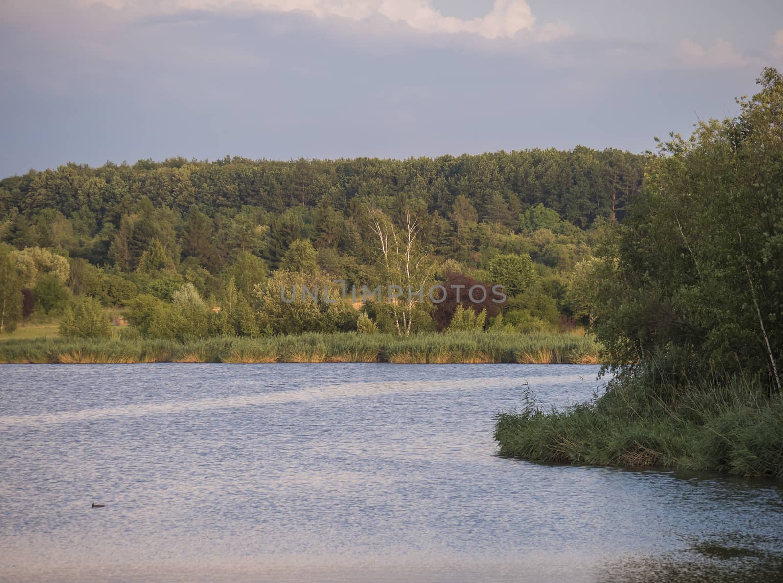 Blue lake Slatina in Prague with green trees, reeds and grass. Golden hour before sunset. Summer blue sky