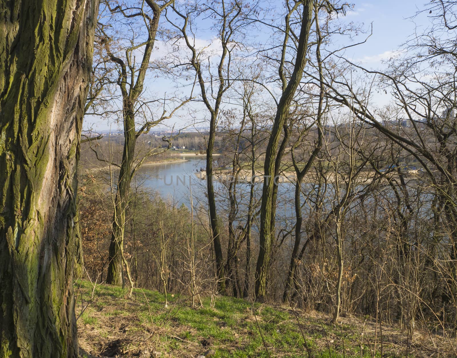 view on artificial lake dam in Prague park (hostivarska prehrada) early spring sunny day, tree and blue sky background