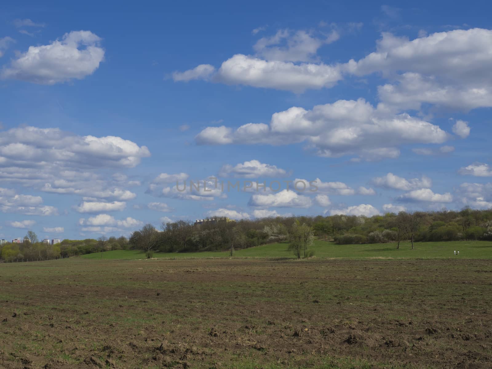 early spring  Prague landscape with brown field, green grass, trees with fresh lush leaves and blue sky, white fluffy clouds backgroud by Henkeova