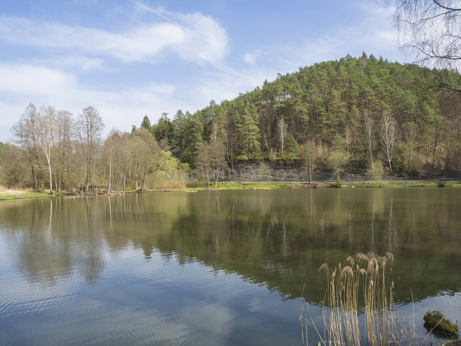 fish pond with spruce tree hill and grass, road, birch tree and blue sky