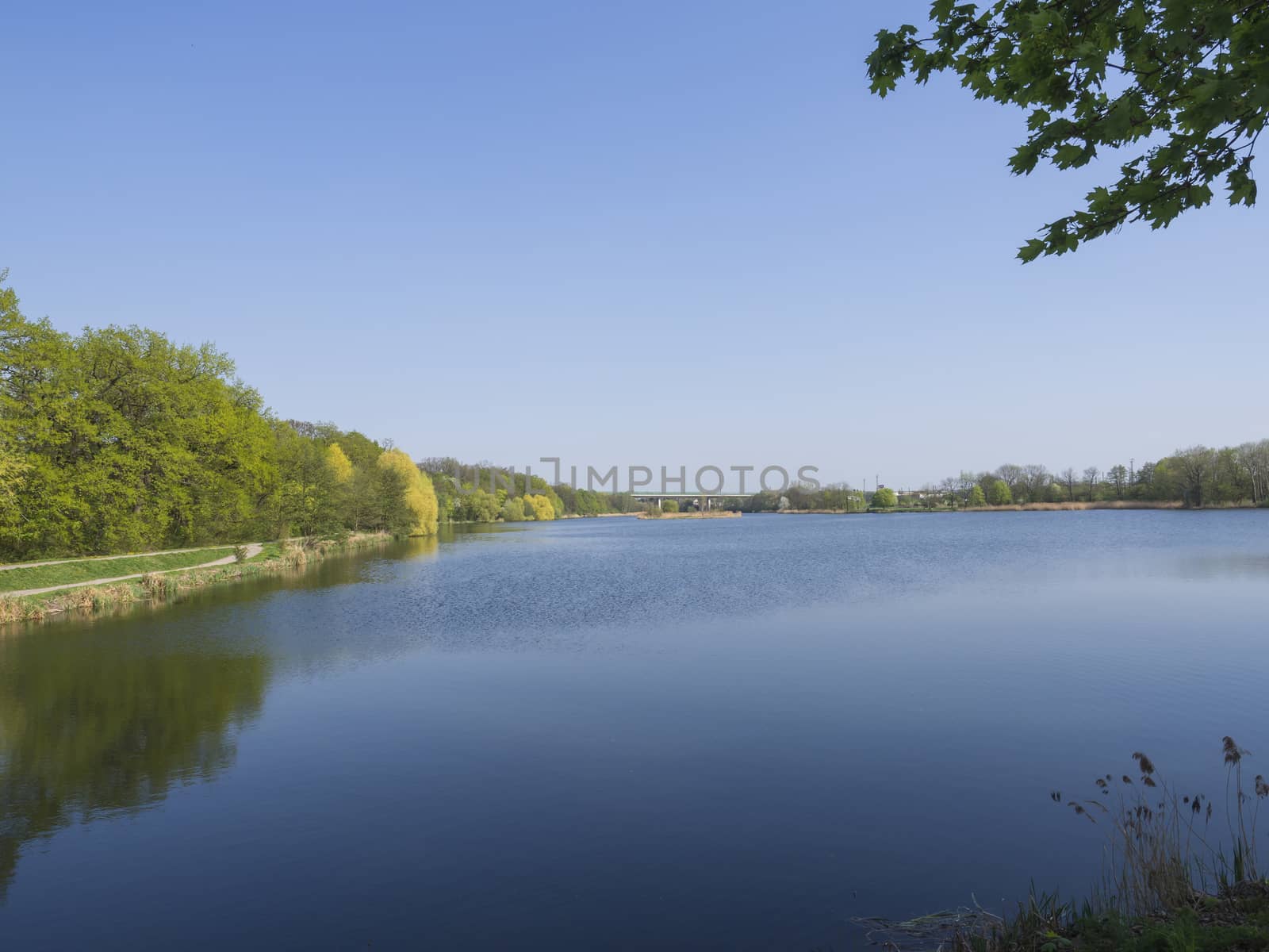 pond in Dolni Pocernice, biggest Prague pond, green tree and clear blue sky