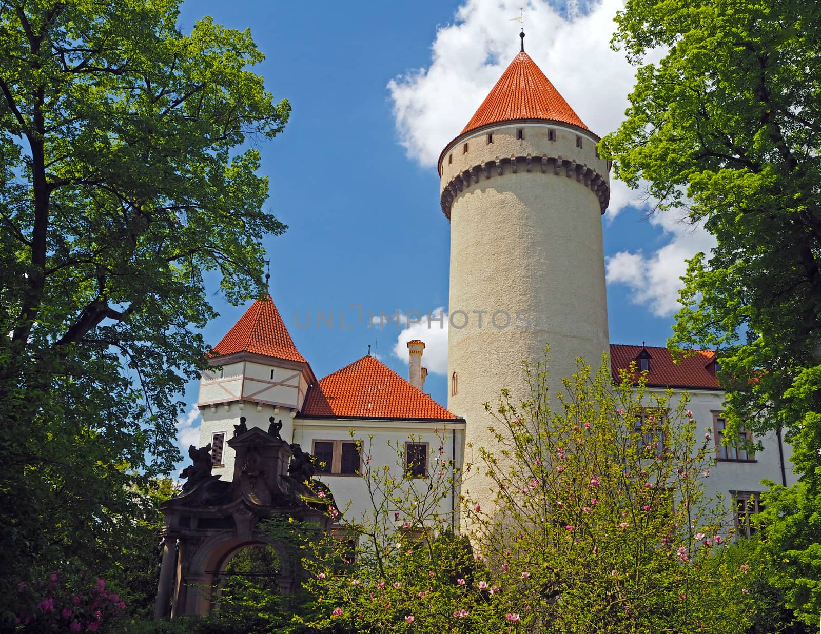 Czech republic, Konopiste, May 16, 2017: Czech state castle chateau Konopiste with round tower and blooming magnolia tree and blue sky