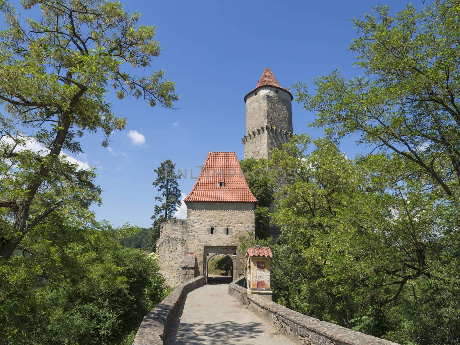 medieval castle Zvikov (Klingenberg) main entry gate with round tower and stone bridge, green trees and blue sky, castle is placed at confluence of the Vltava and Otava rivers, South Bohemian Region, Czech Republic, vertical view