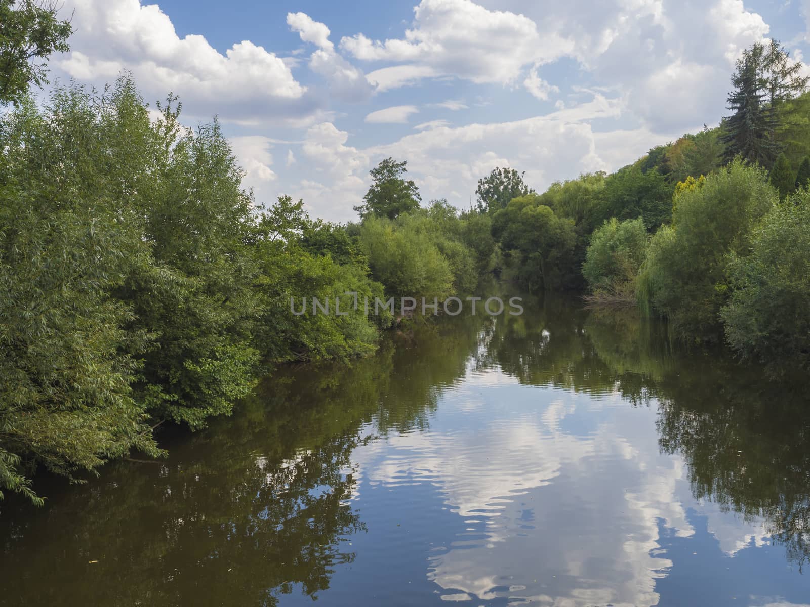 forest lake Landscape with trees, blue sky and white clouds reflecting in the water