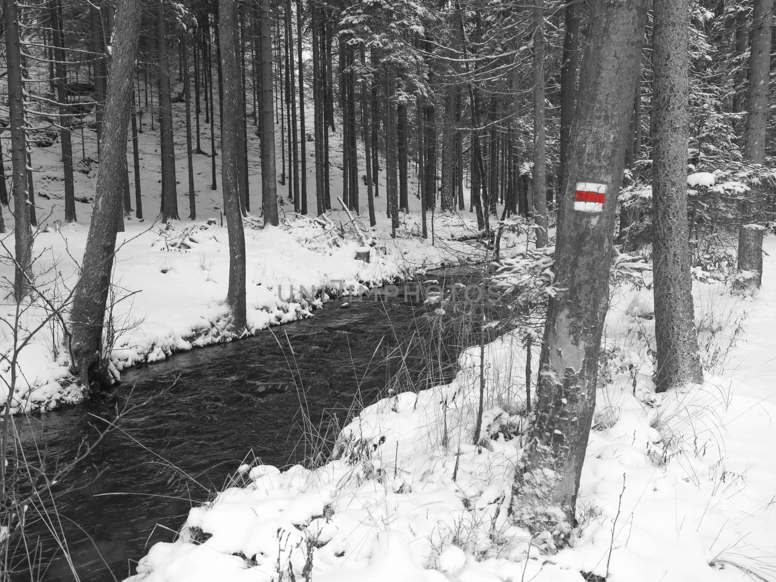 snow covered forest water stream creek with trees, branches and stones, idyllic winter landscape in black and white with red hiker sign.