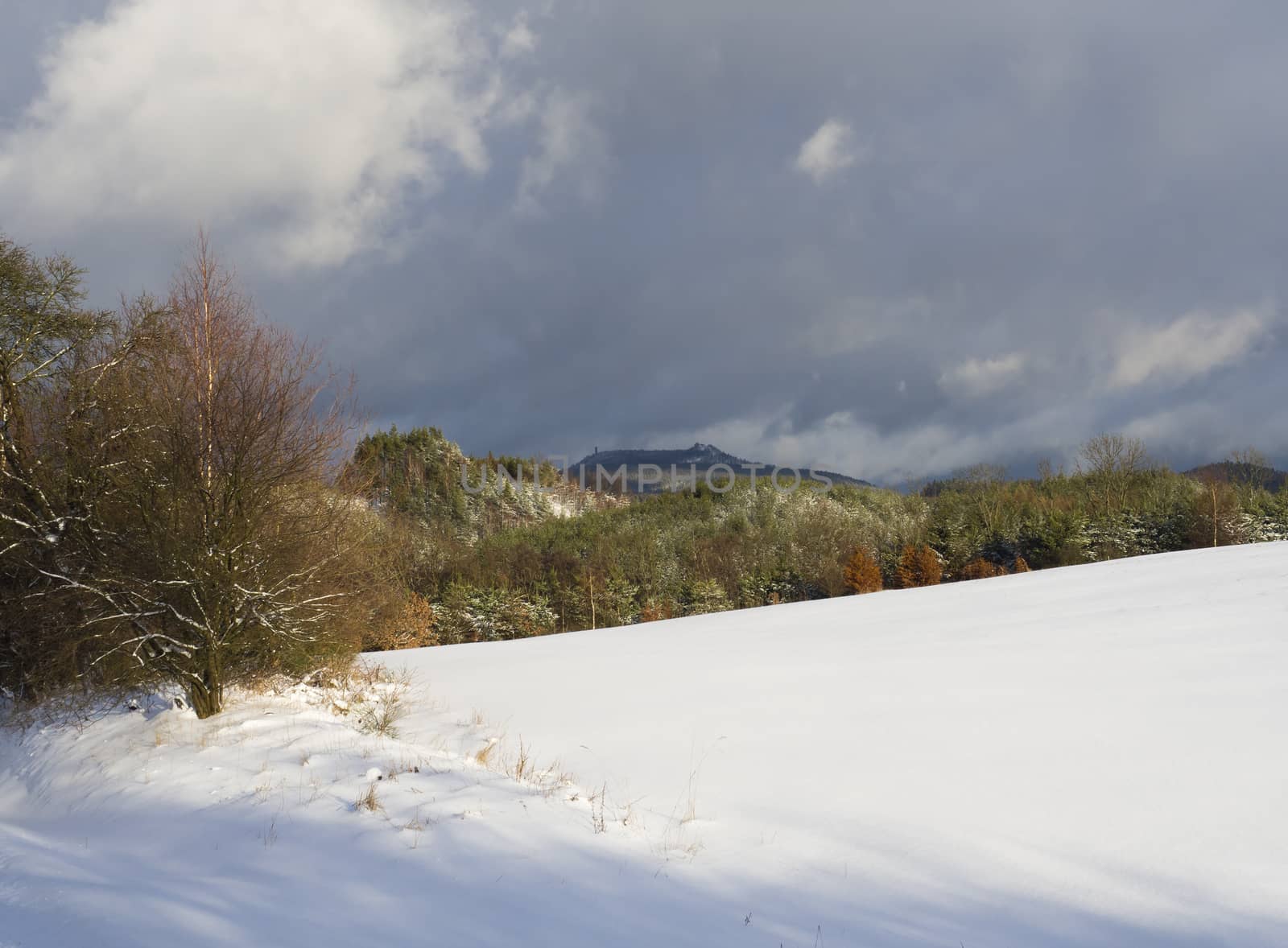 Snow covered meadow with decidouous trees and conifer forest and hills with lookout tower, blue sky. Winter landscape in luzicke hory mountain, Czech republic.