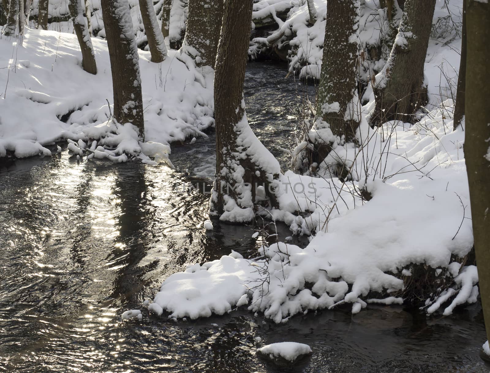 snow covered forest water stream creek with trees, branches and stones, idyllic winter landscape in golden hour sun light.