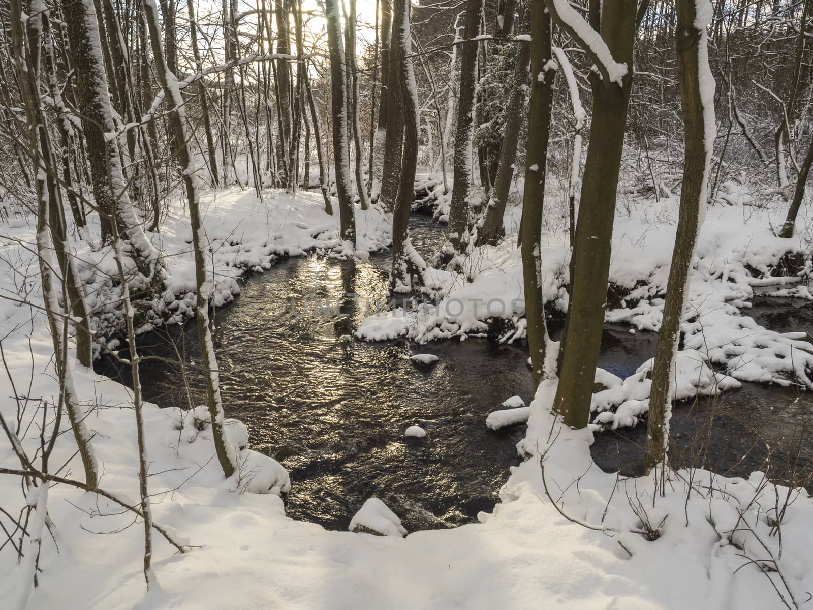 snow covered forest water stream creek with trees, branches and stones, idyllic winter landscape in golden hour sun light.