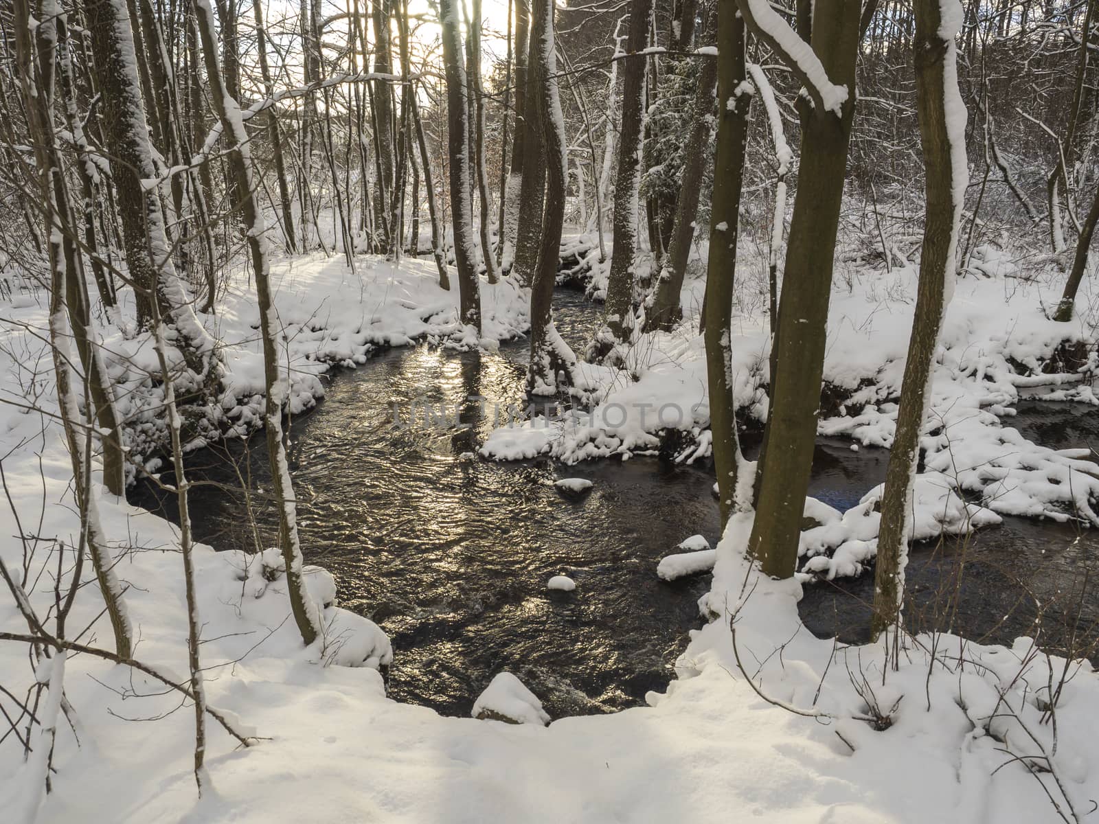 snow covered forest water stream creek with trees, branches and stones, idyllic winter landscape in golden hour sun light by Henkeova