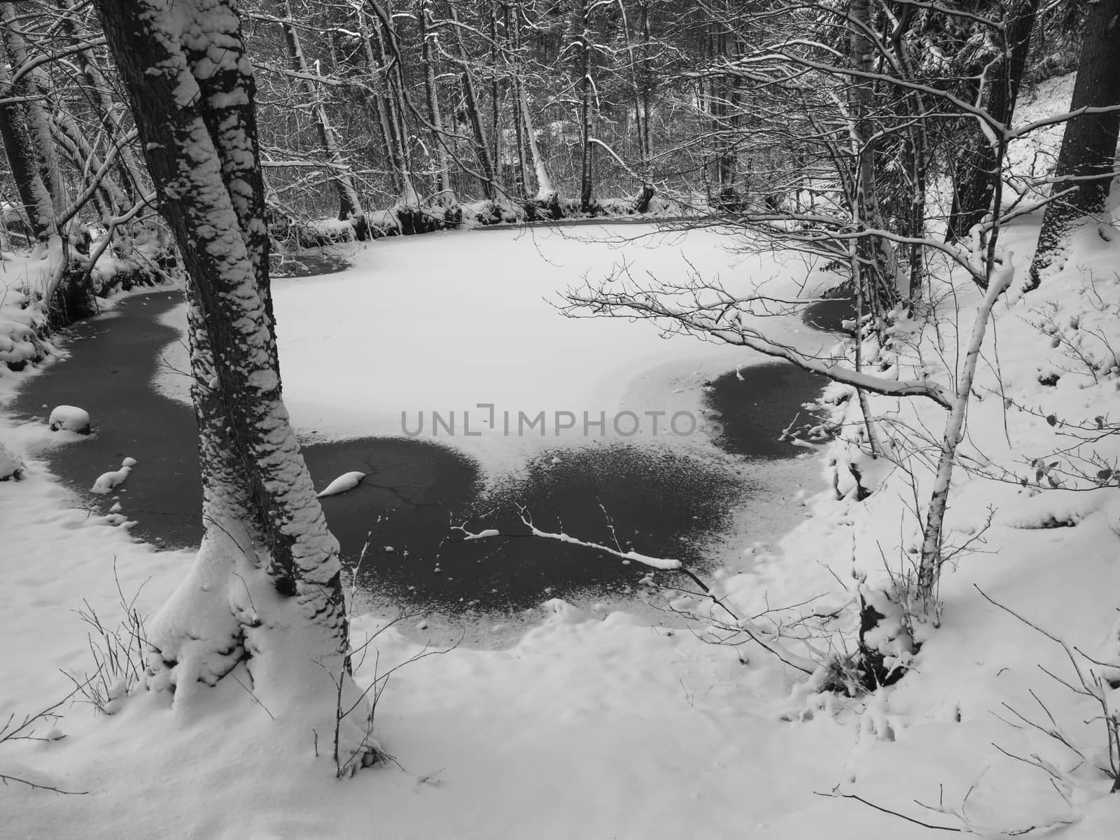 snow covered frozen forest lake or pond surrounded by woods, black and white winter landscape.