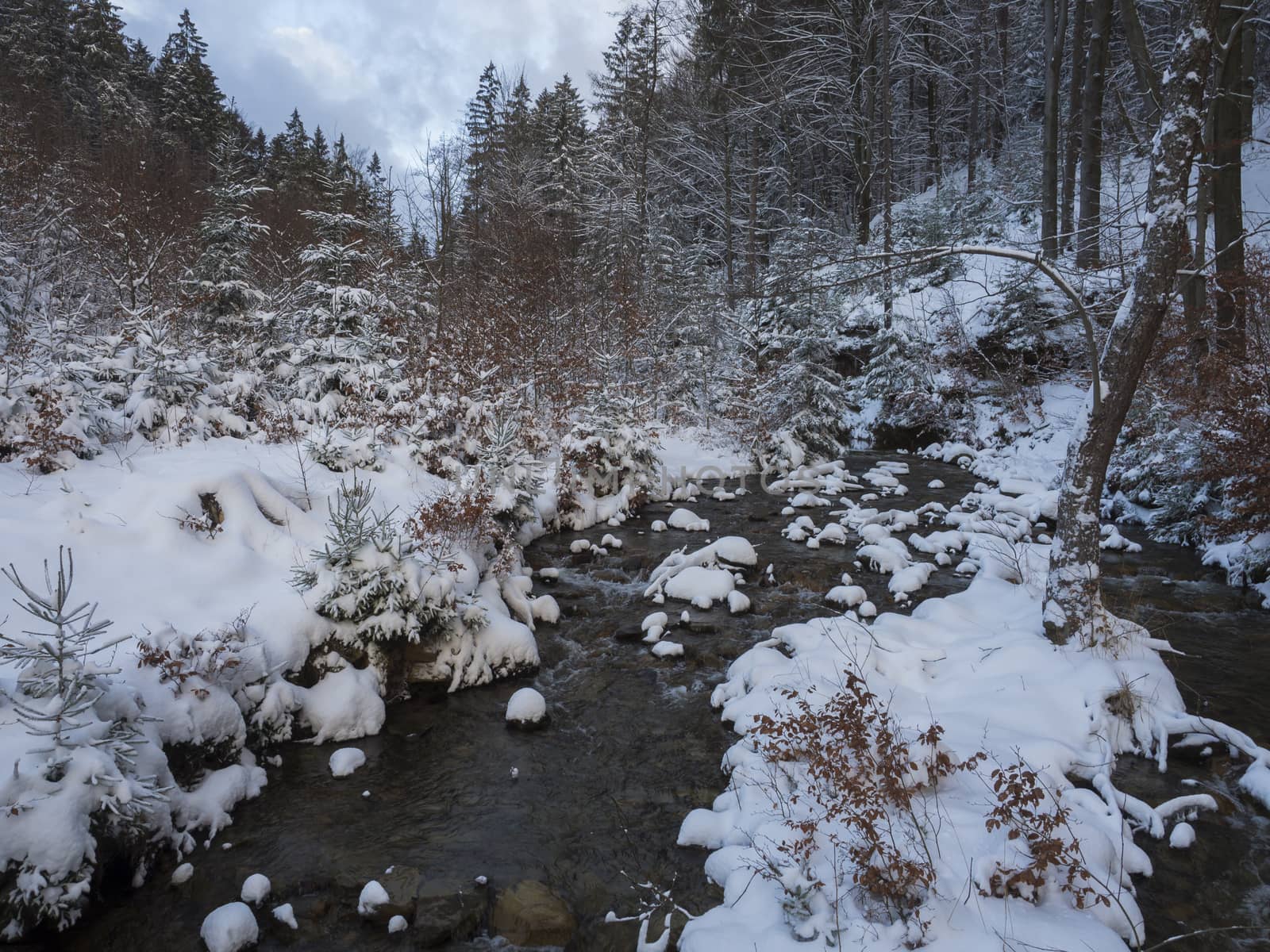 snow covered forest water stream creek with trees, branches and stones, idyllic winter landscape in golden hour sun light.