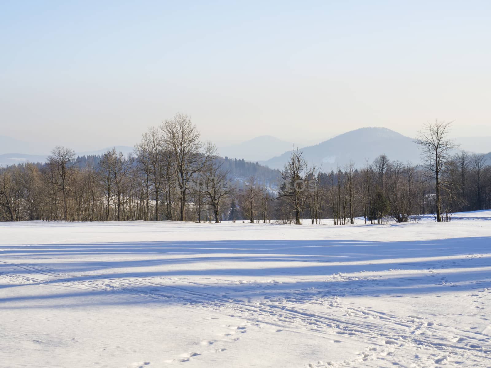 winter field and forest countryside snow covered panoramic landscape with trees, hill in luzicke hory mountain by Henkeova