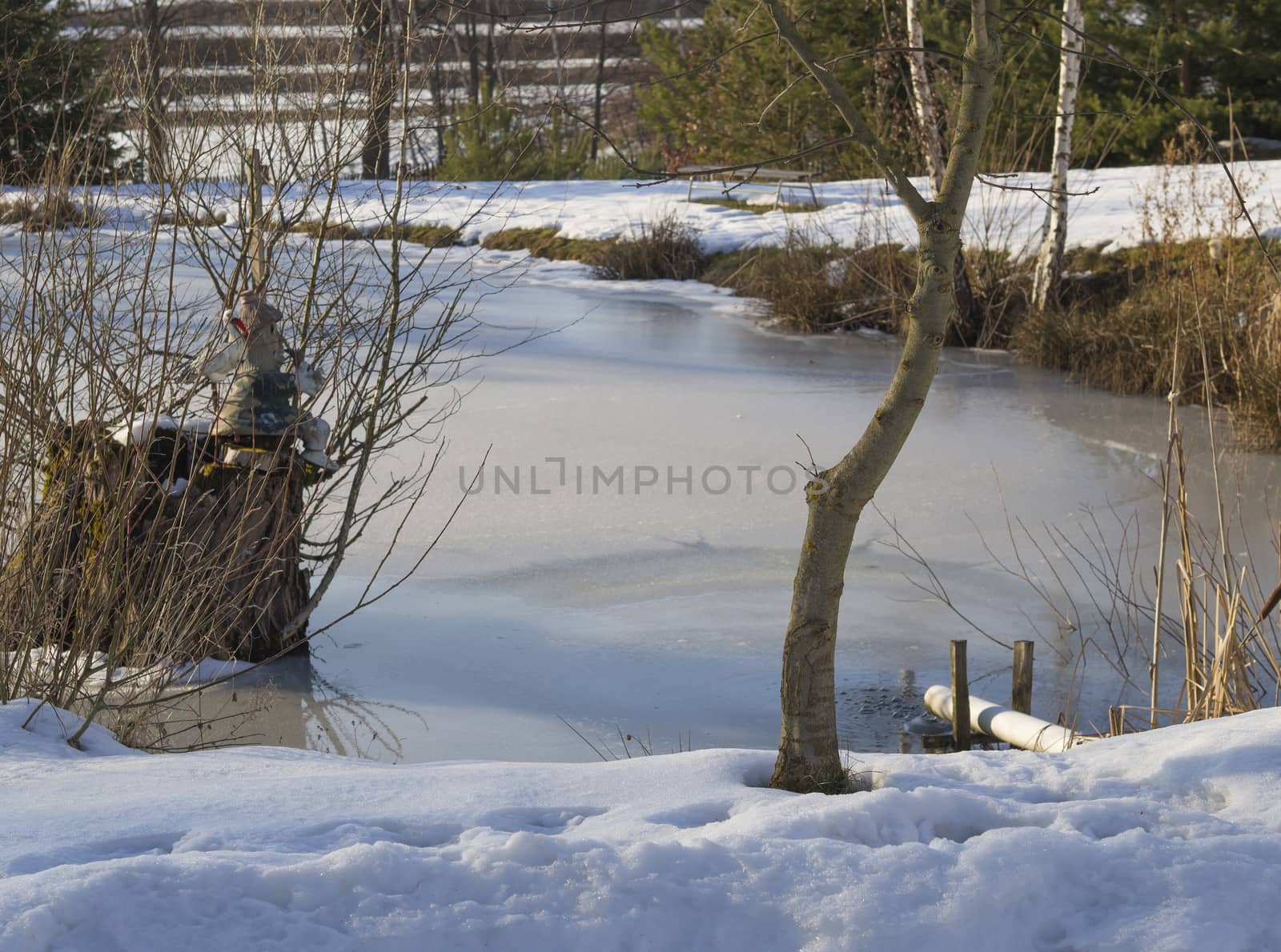 frozen pond with trees snow and water sprite figurine in sunlight