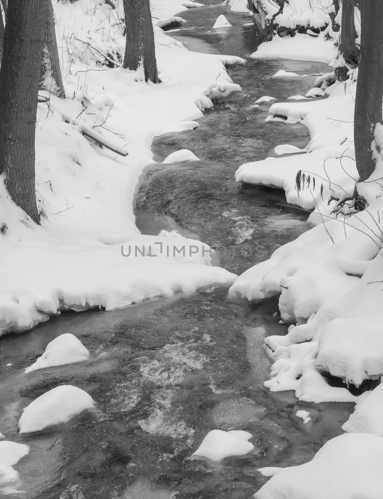 snow covered partly frozen forest water stream creek,  black and white winter landscape