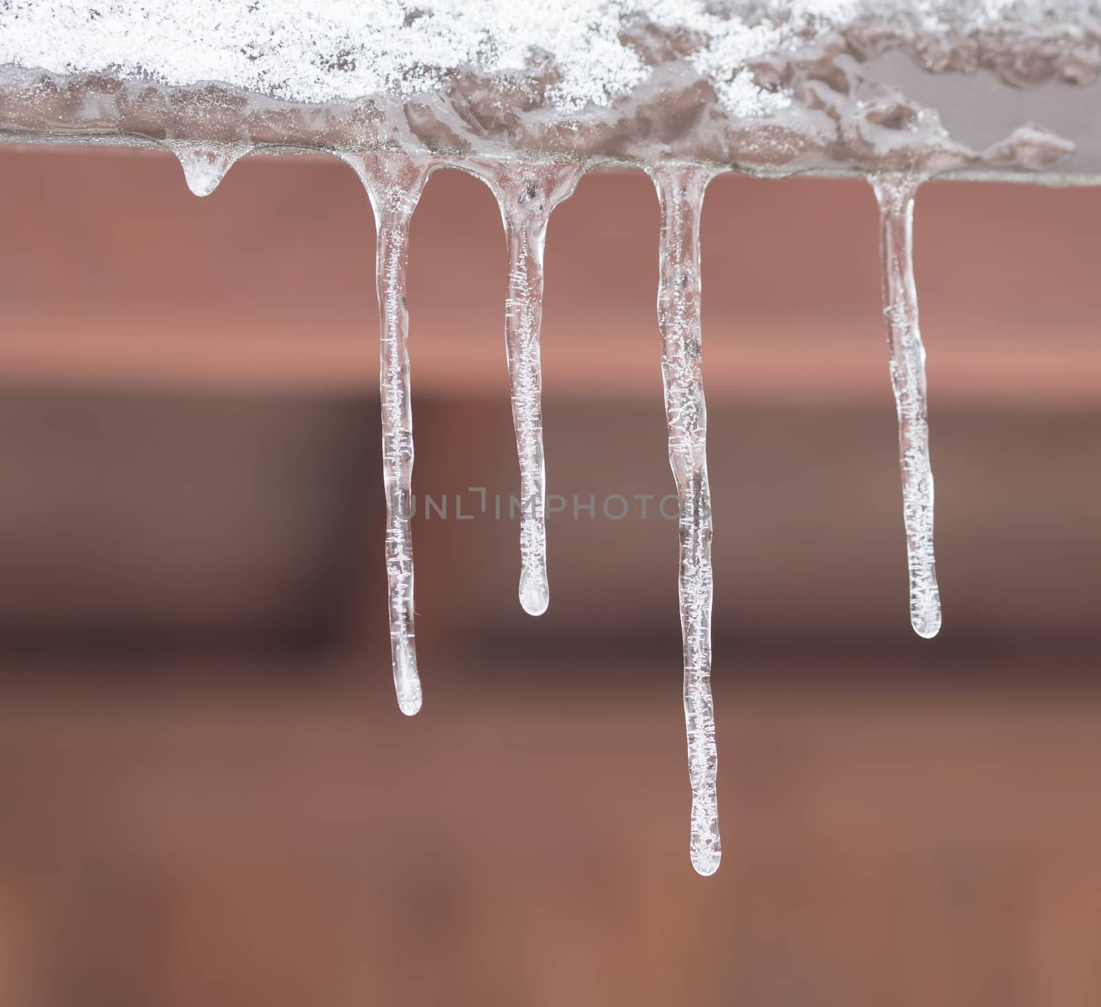 close up icicles hanging down from the tin roof, selective focus by Henkeova