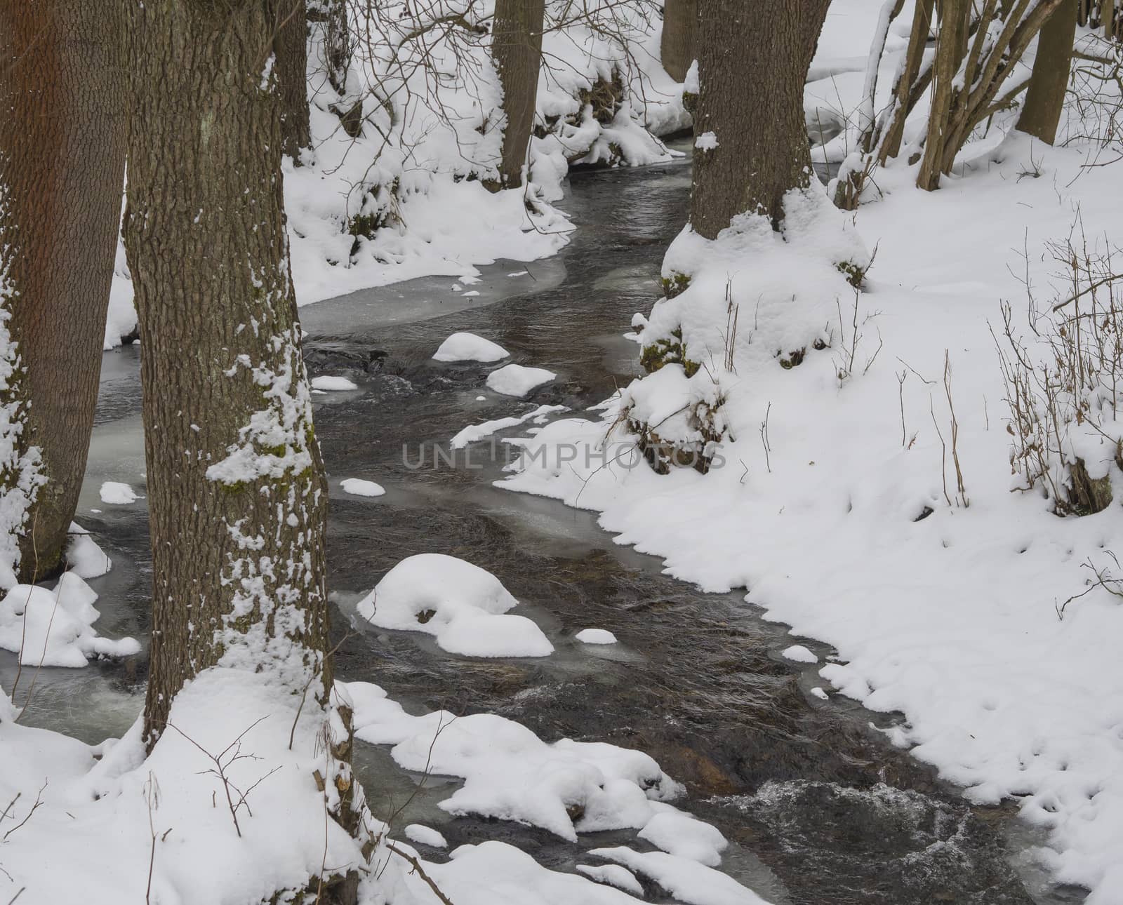 snow covered partly frozen forest water stream creek with trees trunk, winter landscape