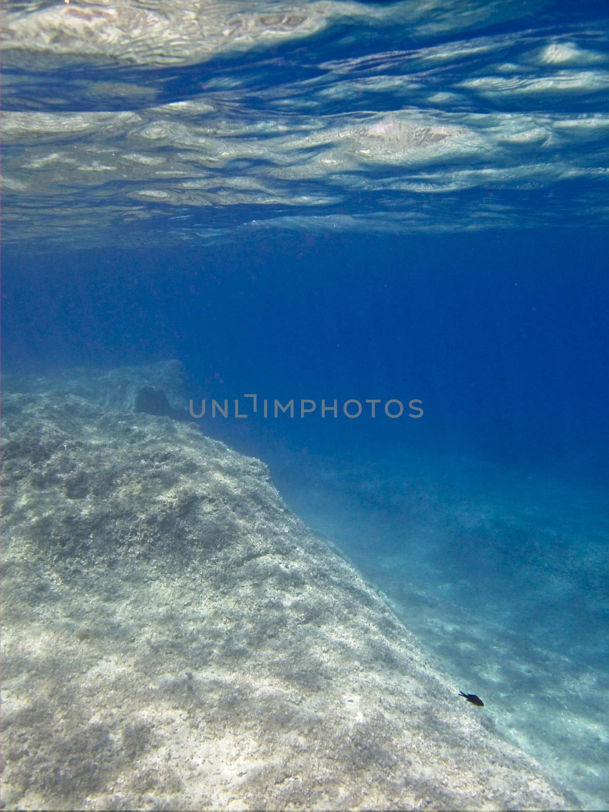 Underwater World by PhotoWorks